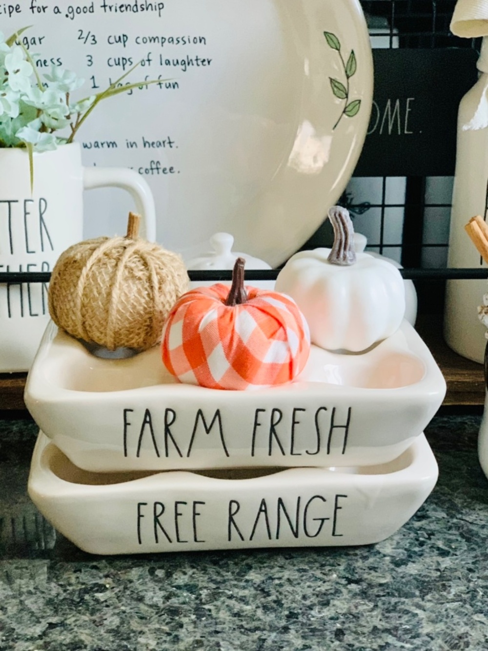 Rae Dunn Farm Fresh & Free Range Egg Holders